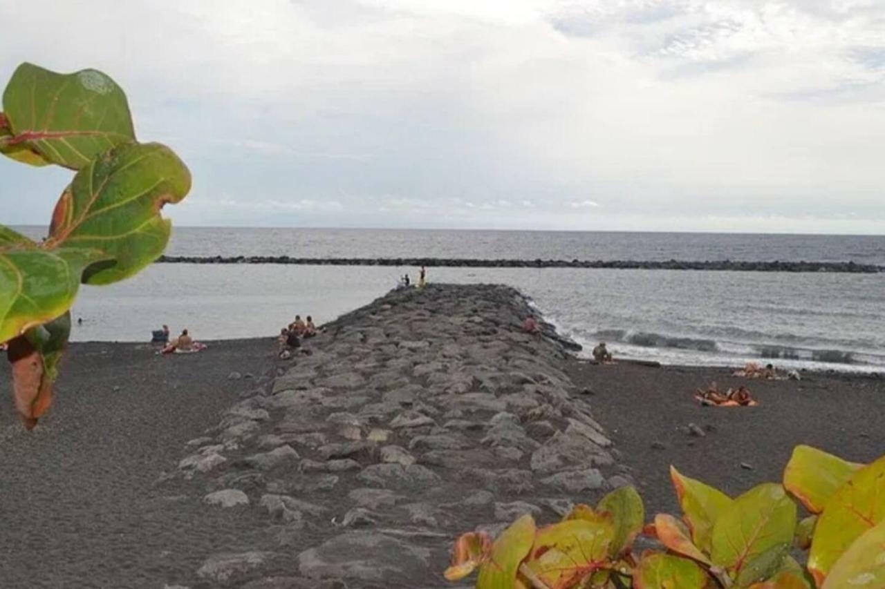 Palm Beach Leilighet Puertito de Guimar Eksteriør bilde